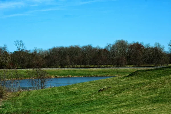 Ein Malerischer Blick Auf Den Kleinen Teich Auf Der Wiese — Stockfoto