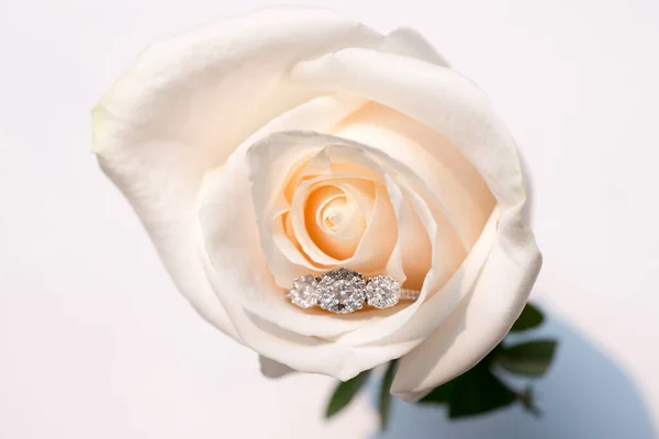 Primo Piano Una Rosa Bianca Con Anello Fidanzamento All Interno — Foto Stock