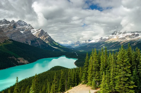 Gyönyörű Táj Peyto Körül Sziklás Hegyek Banff Nemzeti Park Kanadában — Stock Fotó