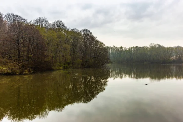 Lac Calme Reflétant Les Arbres Sous Ciel Nuageux — Photo