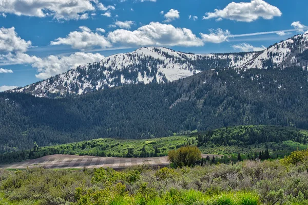 Una Foresta Montagna Sotto Cielo Nuvoloso Blu — Foto Stock