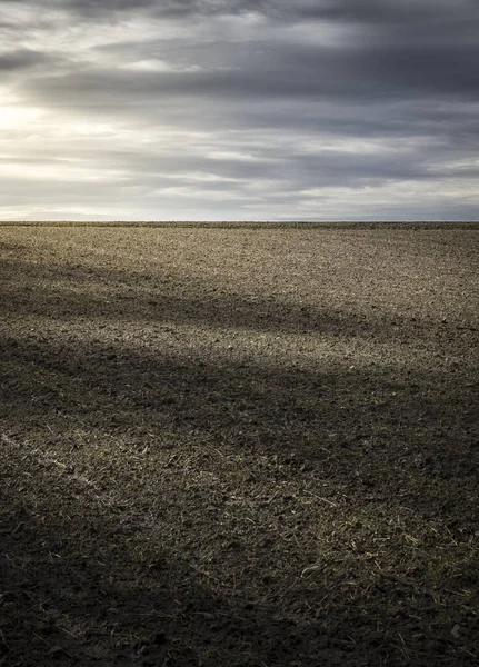 Pionowe Ujęcie Pól Uprawnych Pod Słońcem Zachmurzone Niebo Wsi — Zdjęcie stockowe