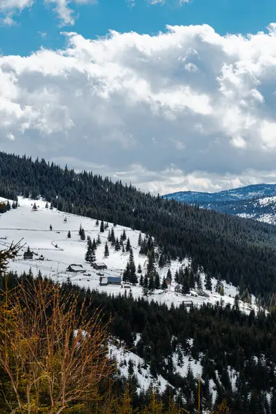 Pionowe Ujęcie Śnieżnych Lasów Górach Pod Chmurnym Niebem — Zdjęcie stockowe