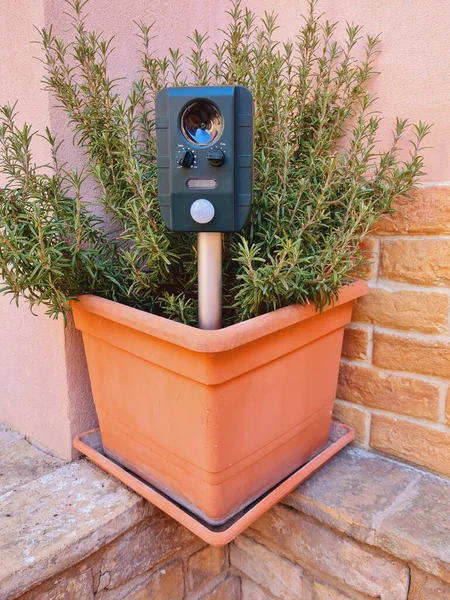 Vertical Shot Ultrasonic Solar Powered Animal Repellent Flower Pot — Stock Photo, Image