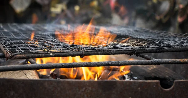 Tiro Selectivo Enfoque Fuego Barbacoa Jardín — Foto de Stock