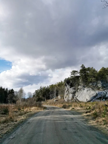 Tiro Vertical Uma Estrada Vazia Sob Céu Nublado Com Falésias — Fotografia de Stock