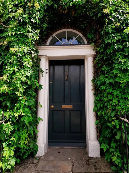 ダブリン アイルランド 7月26 2019 アイルランドのダブリンにあるグルジアのタウンハウスへの入り口 登山植物の葉で囲まれた装飾的な黒いフロントドア — ストック写真