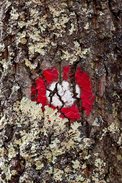 Das Bild Entstand Beim Wandern — Stockfoto