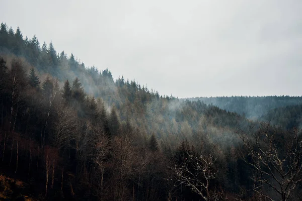 Bulutlu Bir Günde Ormandaki Bir Dağda Sis Tabakası — Stok fotoğraf