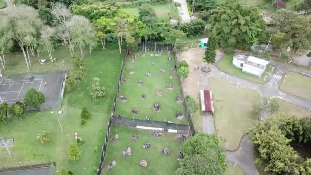 Vanuit Lucht Uitzicht Stad Van Het Park — Stockvideo