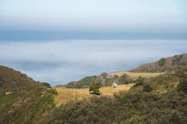 Μια Μαγευτική Θέα Ενός Όμορφου Cloudscape Έναν Ωκεανό Και Δέντρα — Φωτογραφία Αρχείου