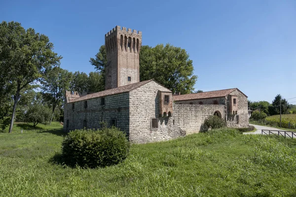 Det Lilla Slottet San Martino Med Träd Och Grönt Fält — Stockfoto