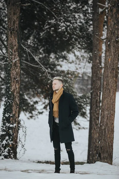 Handsome Young Man Black Winter Outfit Brown Scarf Standing Snowy — Stock Photo, Image