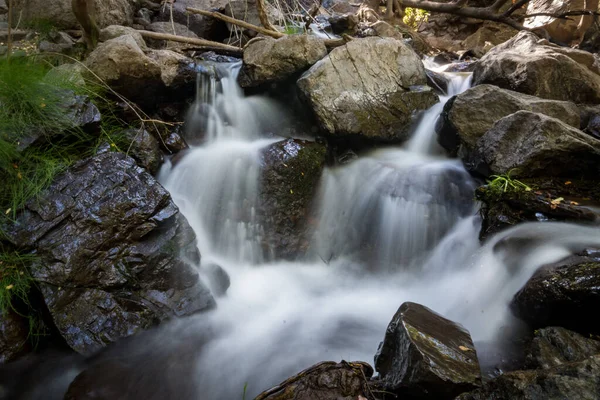 Beautiful View Waterfall Forest Surrounded Trees Stones Sunny Day — Stock Photo, Image