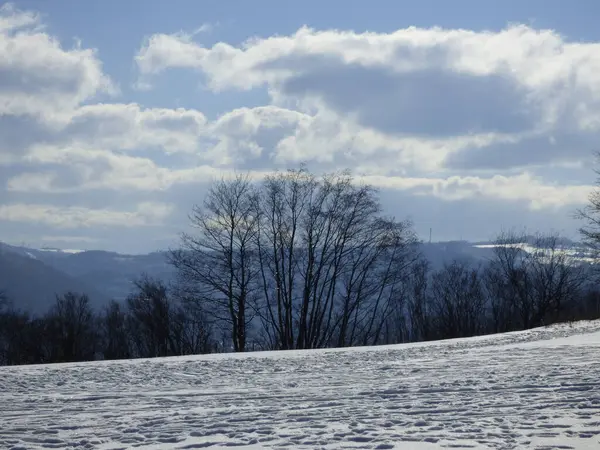 Schöne Aufnahme Eines Verschneiten Landes Vor Dem Hintergrund Des Wolkenverhangenen — Stockfoto