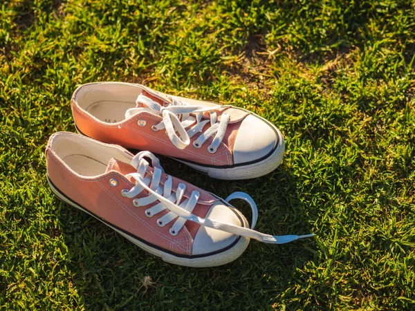 Pair Casual Pink Sneakers Grassy Ground — Stock Photo, Image