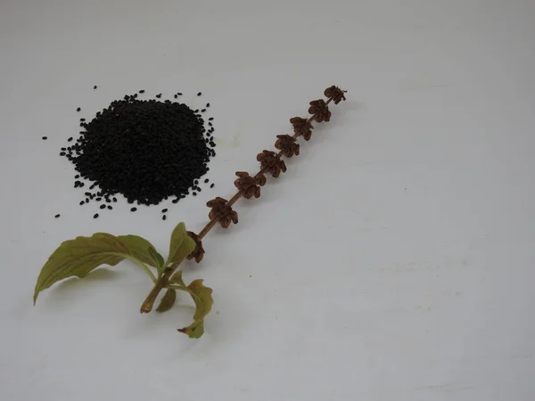 Zbliżenie Nasion Chia Lub Salvia Hispanica Kwiatami Białym Tle — Zdjęcie stockowe