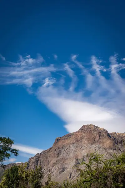 Low Angle View Mountain Trees Field Clear Blue Sky Sunny — Stock Photo, Image