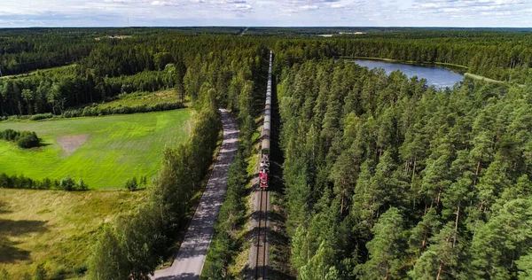 Τρένο Ένα Δάσος Aerial Drone Άποψη Μιας Μηχανής Που Περιβάλλεται — Φωτογραφία Αρχείου