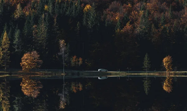 Beau Paysage Automne Avec Une Forêt Bord Lac Reflétant Dans — Photo