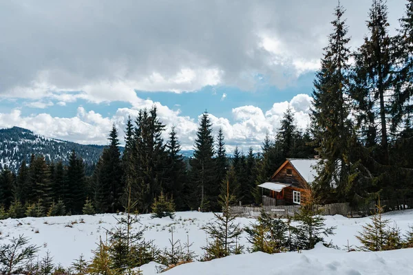 Eine Wunderschöne Winterlandschaft Mit Einem Von Bäumen Umgebenen Holzhaus Unter — Stockfoto