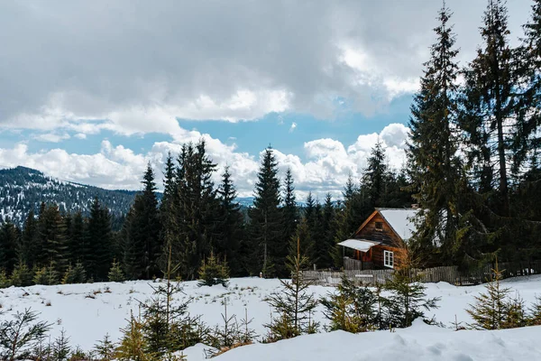 Ett Vackert Vinterlandskap Med Ett Trähus Omgivet Träd Molnig Himmel — Stockfoto