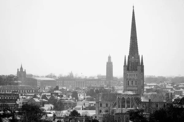 Gråskala Över Norwich Cathedral Norwich Storbritannien — Stockfoto