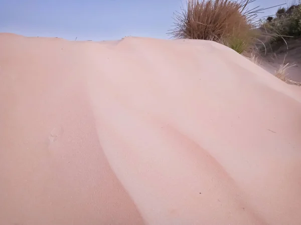 Eine Nahaufnahme Von Sanddünen Der Wüste — Stockfoto