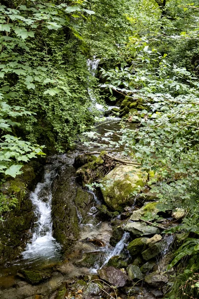 Colpo Verticale Una Piccola Cascata Una Foresta Pluviale — Foto Stock