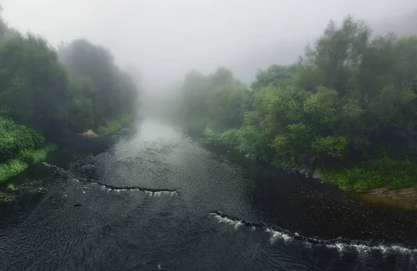 Une Rivière Paisible Qui Coule Travers Des Arbres Verts Luxuriants — Photo