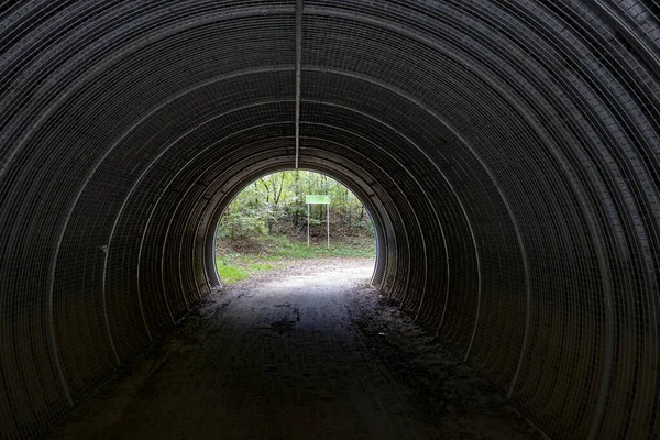 緑の森へと続く細いトンネル — ストック写真