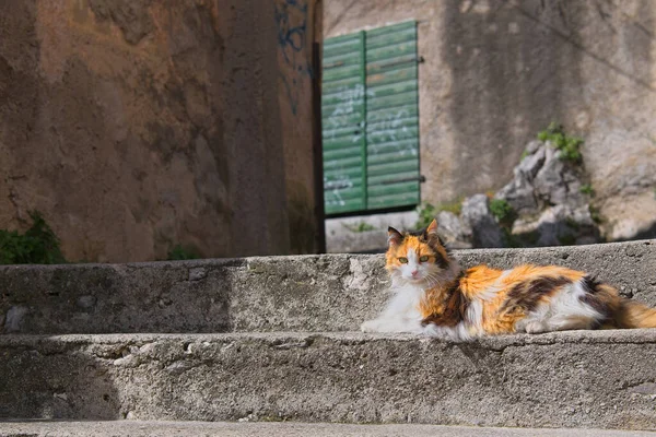 Imagen Toma Mientras Visita Ciudad Bakar Croacia — Foto de Stock