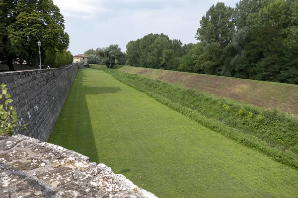 Colpo Lungo Campo Verde Lungo Recinzione Pietra — Foto Stock