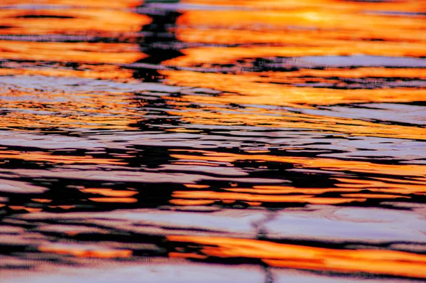 Vacker Bild Gyllene Solstrålarna Som Reflekteras Vattnet — Stockfoto