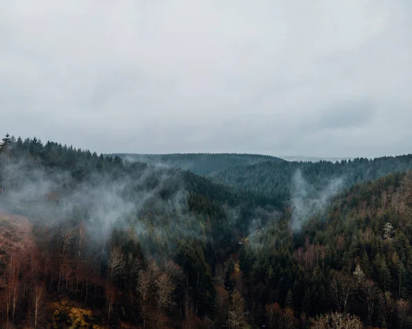 Eine Nebelschicht Auf Einem Bewaldeten Berg Einem Bewölkten Tag — Stockfoto