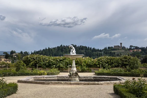 Красивые Сады Боболи Флоренции Италия Время Дневного Света — стоковое фото