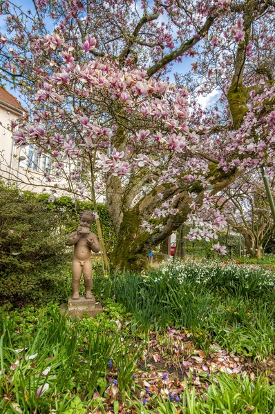 Una Foto Escénica Hermosas Flores Magnolia Con Comer Monumento Infantil — Foto de Stock