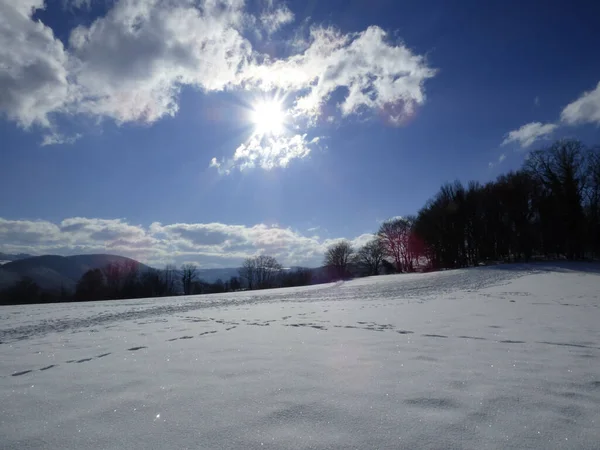 在明亮的多云的天空下 美丽的雪地照片 — 图库照片