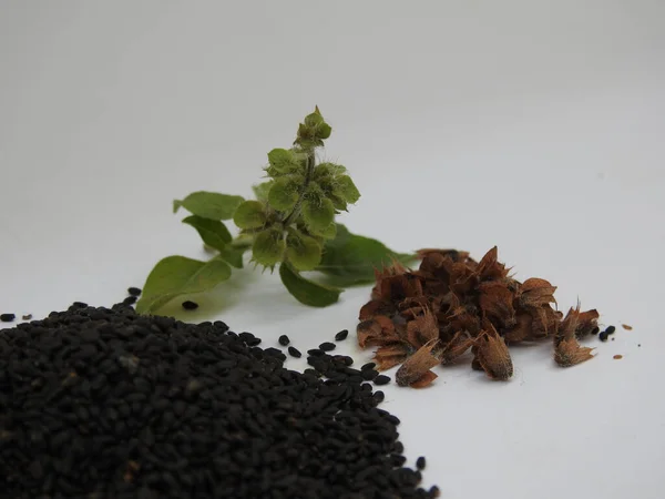 Mucchio Semi Chia Salvia Hispanica Con Fiori Sfondo Bianco — Foto Stock