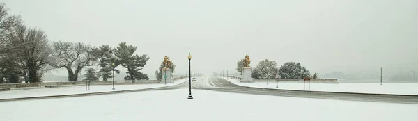 Panoramic Shot Roads Surrounded Trees Covered Snow Fog — Stock Photo, Image