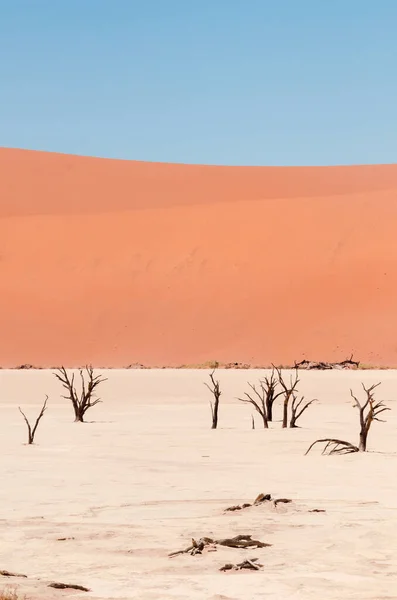 Deadvlei Namibia 2021 Deadvlei Uno Esos Lugares Impresionantes Namibia Que —  Fotos de Stock