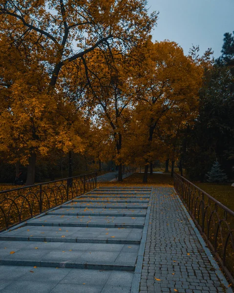 Kamienne Schody Przez Park Żółtymi Drzewami — Zdjęcie stockowe