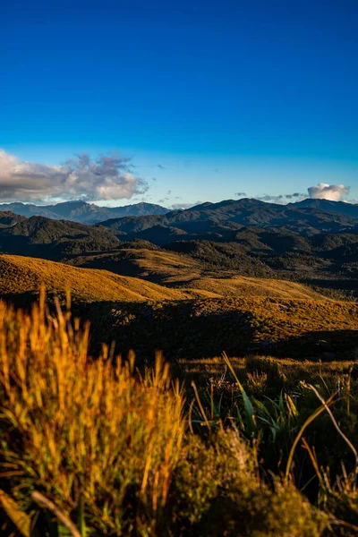 Gyllene Timmar Solnedgång Ovanför Knogarna Kullar Nya Zealand — Stockfoto