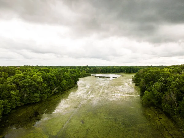 Ormanda Akan Yeşil Yosunlu Bir Nehrin Havadan Çekilmiş Görüntüsü — Stok fotoğraf