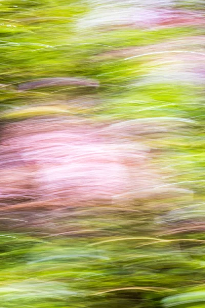 Függőleges Elvont Elmosódott Zöld Rózsaszín Háttér — Stock Fotó