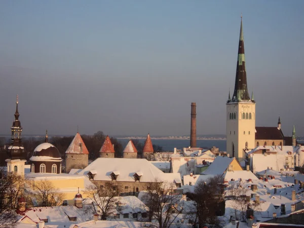 Schöne Schneebedeckte Dächer Der Hauptstadt Tallinn Estland Einem Sonnigen Morgen — Stockfoto