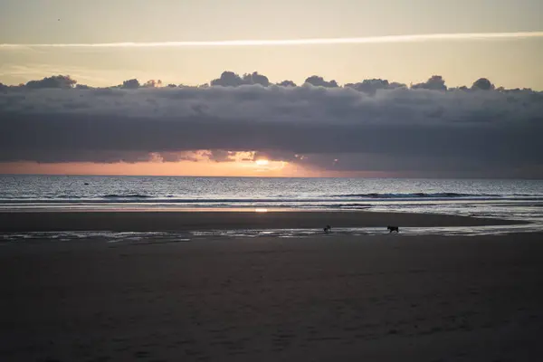 Una Hermosa Vista Una Playa Arena Atardecer — Foto de Stock