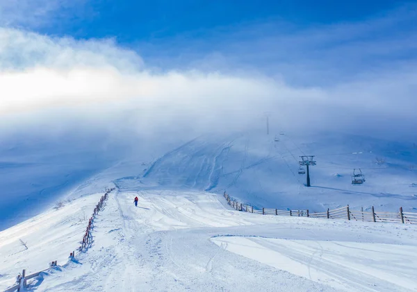 Campo Nieve Frío Día Invierno Contra Cielo Nublado — Foto de Stock