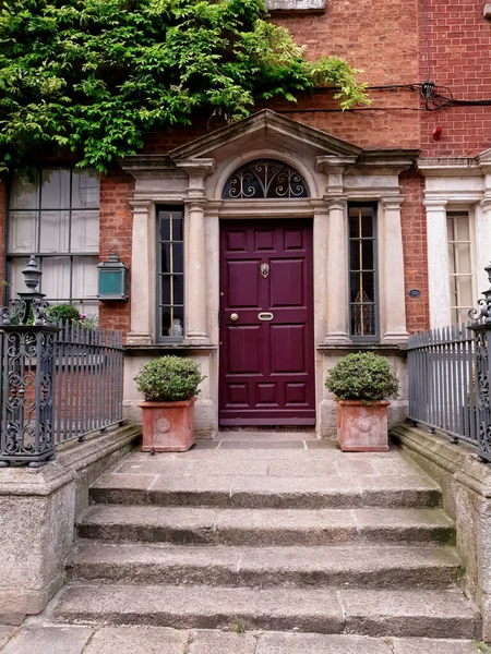 ダブリン アイルランド 7月23 2019 アイルランドのダブリンにあるグルジアのタウンハウスへの入り口 正面に植物や階段のある装飾的なドア — ストック写真