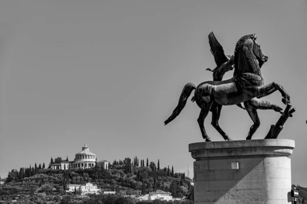 Uma Estátua Cavalo Fundo Edifícios Árvores Verona Itália Complexo Catedral — Fotografia de Stock